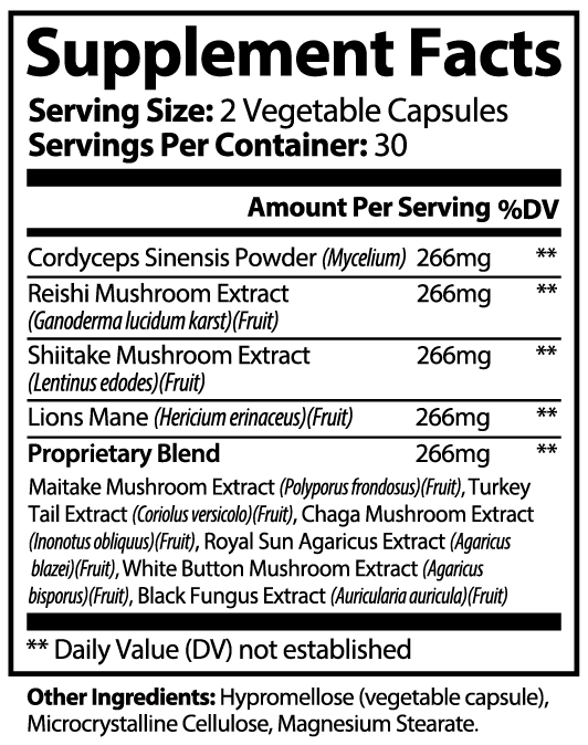 The Big 10™ Mushroom Super Complex