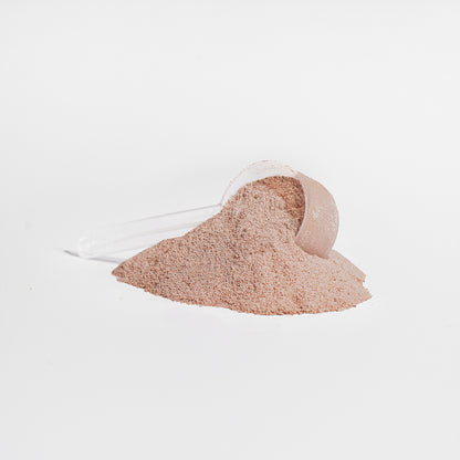 Grass-Fed Collagen Peptides Powder in Chocolate